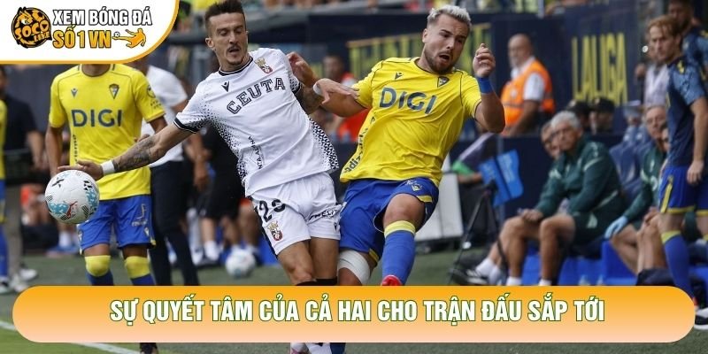 Sự quyết tâm của cả hai cho trận đấu sắp tới Sự quyết tâm của cả hai cho trận đấu sắp tới